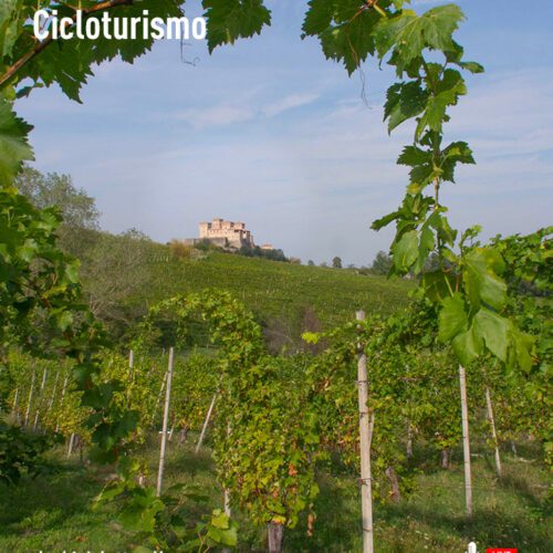 Cicloturismo - La bicicletta alla scoperta della Cantina Lamoretti