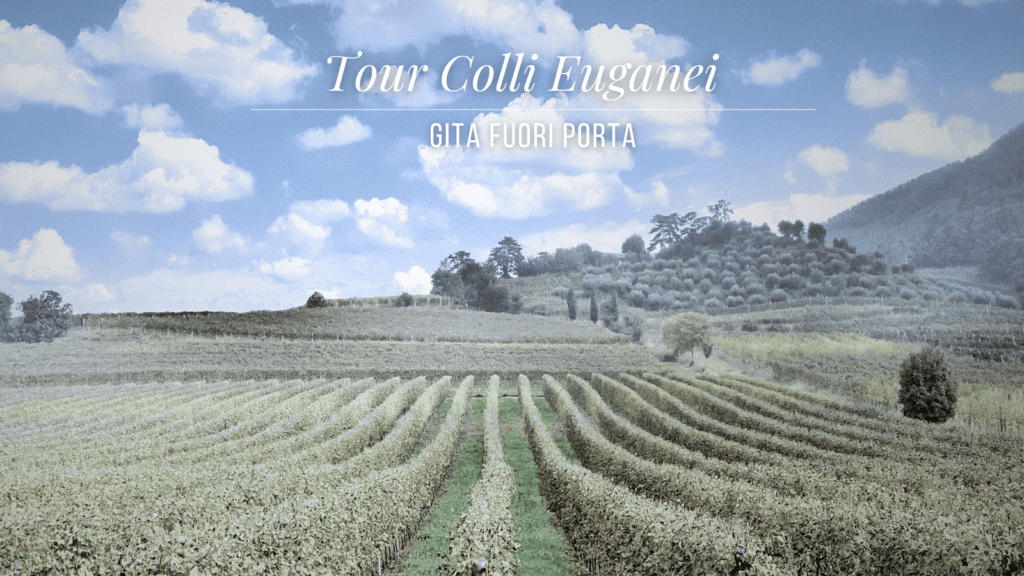 COLLI-EUGANEI-MAGGIO-2024-SESSANTALLORA